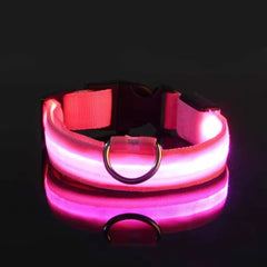 LED Dog Collar - Rechargeable Light-Up Glow Collar for Night Safety | 7 Colors, Sizes S-L | USB Charging, Adjustable & Splash-Resistant