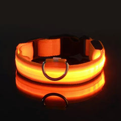 LED Dog Collar - Rechargeable Light-Up Glow Collar for Night Safety | 7 Colors, Sizes S-L | USB Charging, Adjustable & Splash-Resistant