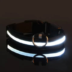 LED Dog Collar - Rechargeable Light-Up Glow Collar for Night Safety | 7 Colors, Sizes S-L | USB Charging, Adjustable & Splash-Resistant