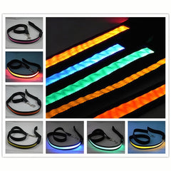 USB rechargeable LED dog leash, a safety light for night walking dog chain, suitable for all sizes of pets