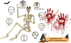36 in life size posable skeleton, two per set - product photo 4 of 12