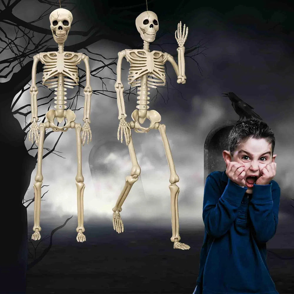 36 in life size posable skeleton, two per set - product photo 11 of 12