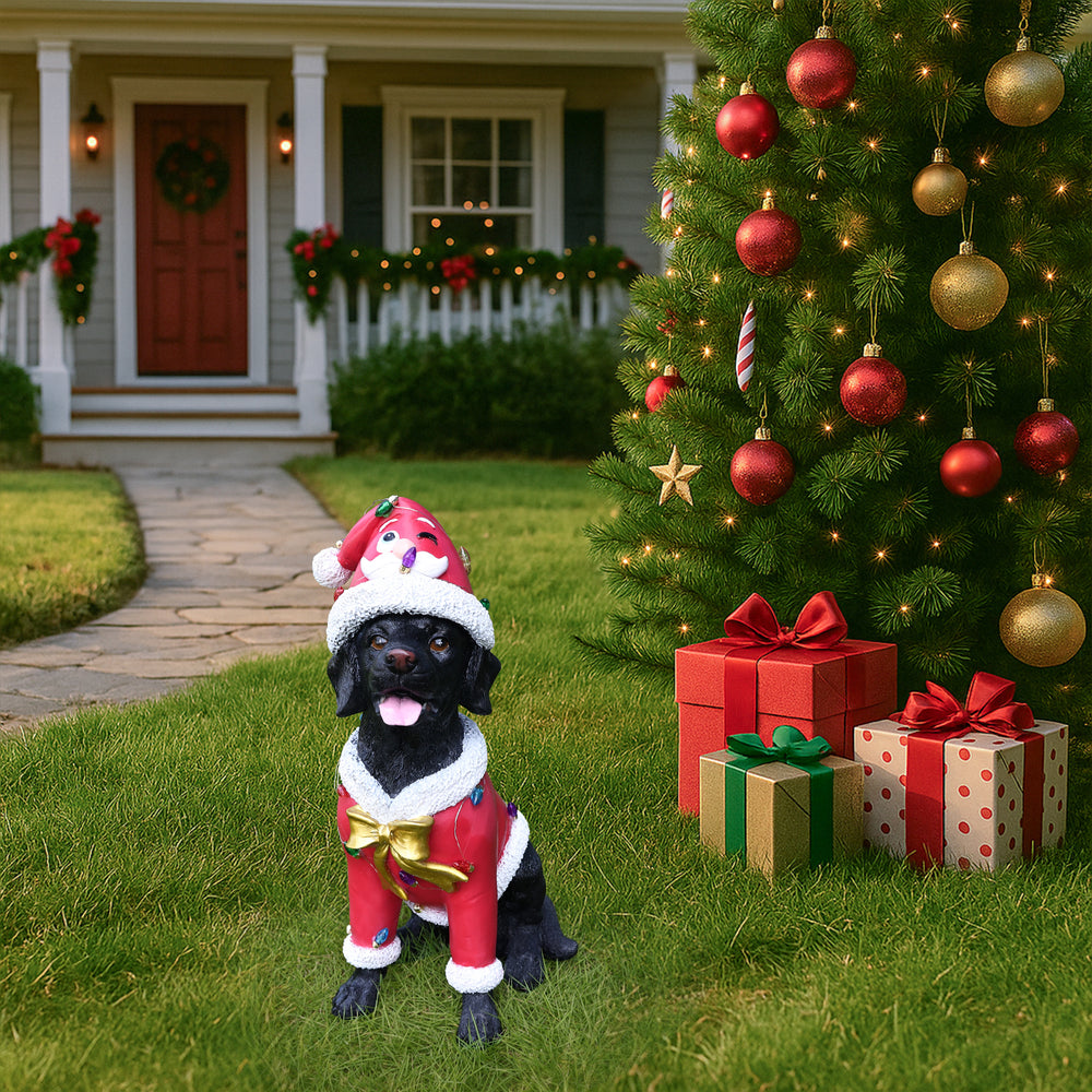 The Black labrador retriever in the red Santa coat out on the lawn at dusk with the lights of the house behind