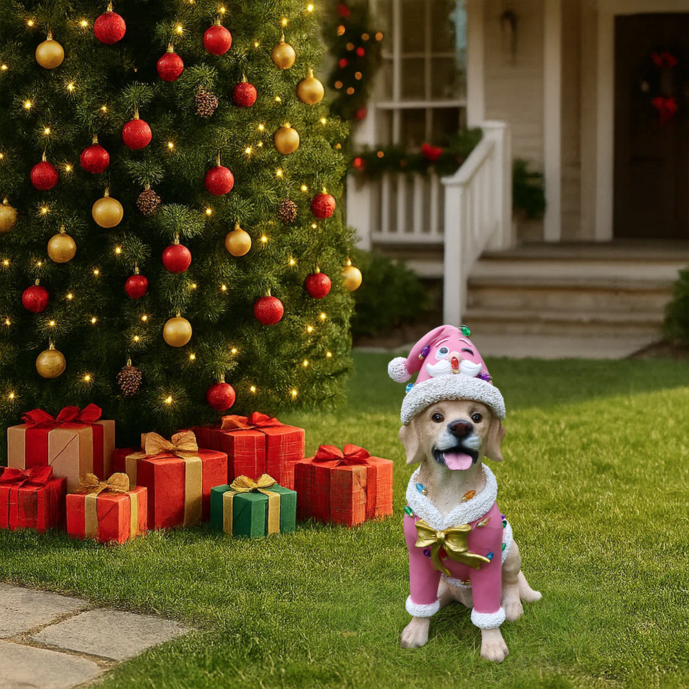 The Labrador retriever in the pink Santa coat out on the lawn at dusk with the lights of the house behind