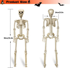 36 in life size posable skeleton, two per set - product photo 6 of 12