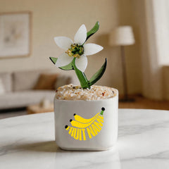 Customized Fruit Name Crystal Glass Daffodil Ornament