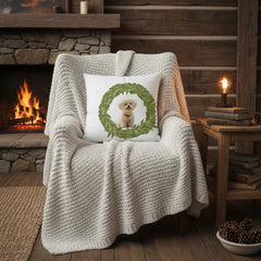 Meet the family Pillow