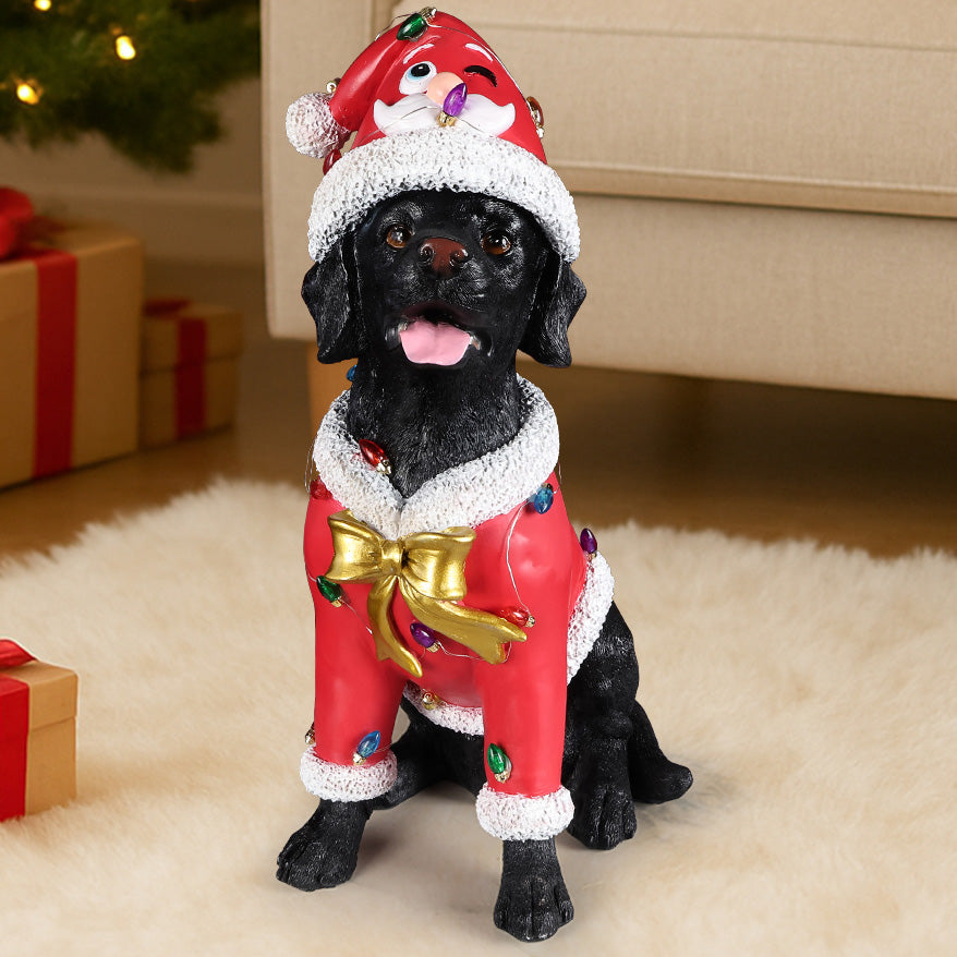 A black Labrador sitting in a red Santa coat with a string of colored lights across the back, in a living room at Christmas