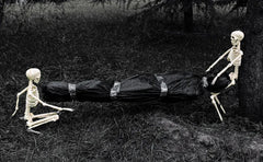36 in life size posable skeleton, two per set - product photo 2 of 12