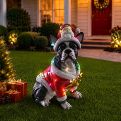 The French bulldog in the red Santa coat out on the lawn at dusk with the lights of the house behind