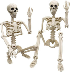36 in life size posable skeleton, two per set - product photo 10 of 12