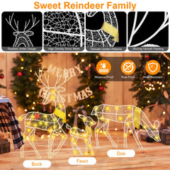 3 Sets of Reindeer Family Lighted 2D Christmas Deer Decoration Warm Ye