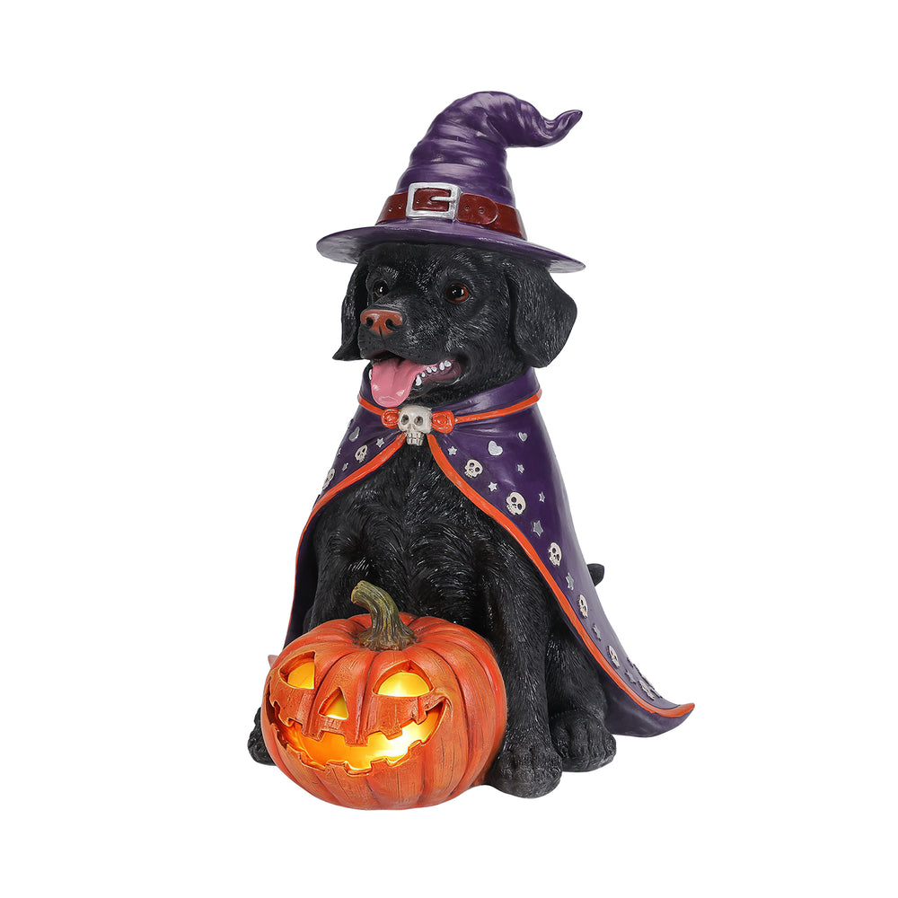 Black labrador witch statue on a plain background, from a second angle, showing the cloak down the back