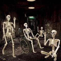 36 in life size posable skeleton, two per set - product photo 7 of 12