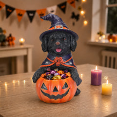 The same black labrador witch puppy on a sideboard with a string of lights and a small haunted house behind it