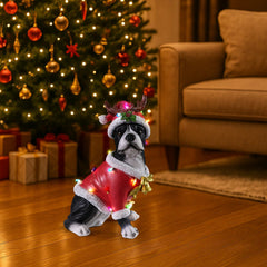 The Boston terrier Christmas statue in the red Santa coat on a living room rug with a sofa behind