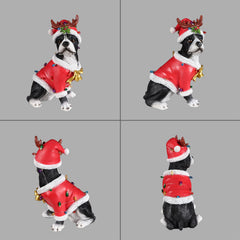 Four views of the Boston terrier Christmas statue on a gray background, showing the front, side and back of the red Santa coat