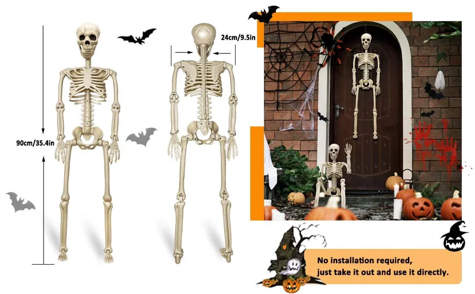 36 in life size posable skeleton, two per set - product photo 5 of 12