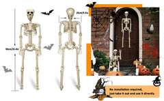 36 in life size posable skeleton, two per set - product photo 5 of 12