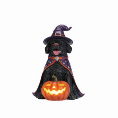 Black labrador witch statue on a plain background, front view, with an orange lined hat and the pumpkin glowing below