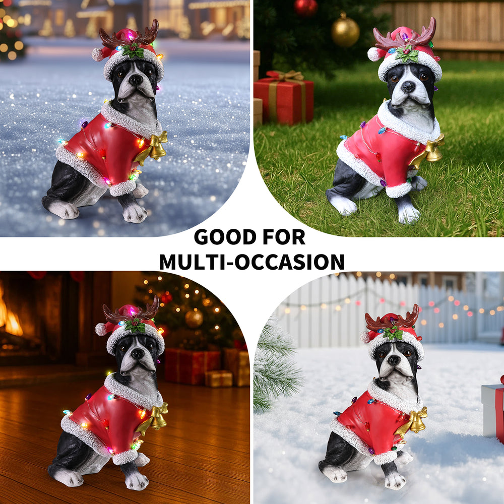 Four photo collage of the Boston terrier in the red Santa coat styled in different holiday spots, indoors and out