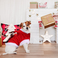 Pet Christmas Clothes Santa Claus Reindeer Antlers Costume Winter Outfit New Year Coat For Small Medium Dogs Cats Available in S/M/L/XL