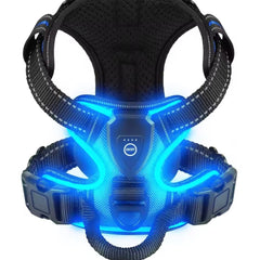 Blue LED dog harness - USB rechargeable light-up pet harness night walk safety