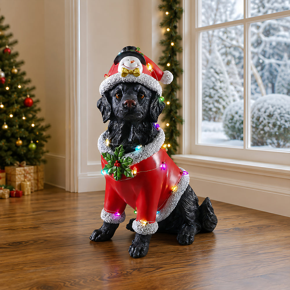 A black retriever sitting in a red Santa coat with a string of colored lights across the back, in a living room at Christmas