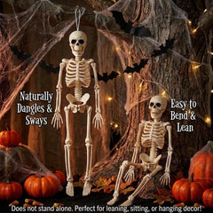 16 in mini hanging skeleton, five per set - product photo 5 of 6