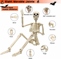 36 in life size posable skeleton, two per set - product photo 9 of 12