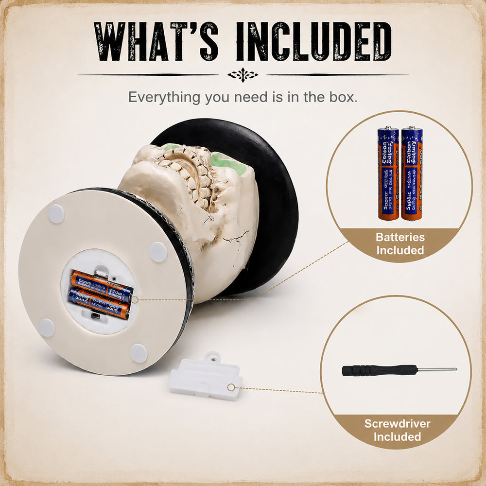 Printed card showing what is in the box: the skeleton on its back with the battery compartment in the base open, plus the batteries and the small screwdriver