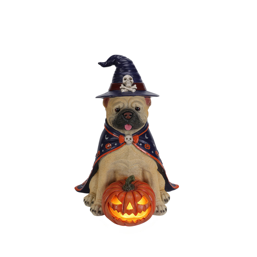 Bulldog witch statue on a plain background, from a second angle, showing the hat brim and the ears