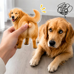Custom Pet Booty-up Balls Squishy Magnet – Personalized Cat & Dog Balls Memorial Stress Relief Magnet with Magnetic & Adhesive Mount
