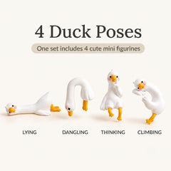 WaddleBuddy Mini Duck Decor - product photo 8