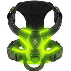 Green LED dog harness - glowing no-pull harness for evening walks