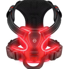 Red LED dog harness - rechargeable light-up harness glowing on small dog at night