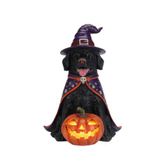 Black labrador witch resin statue on a plain background, side view, showing the sitting pose and the base