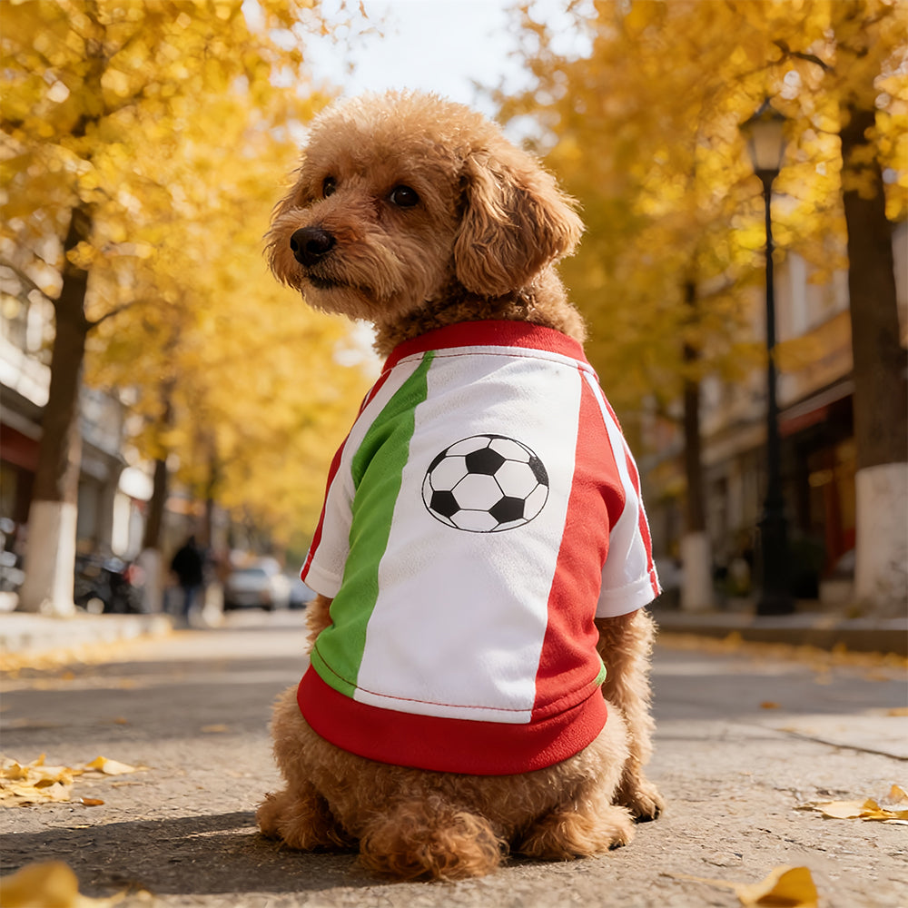 Pet supplies - Dog football clothes Lightweight and breathable sports wear with customizable names