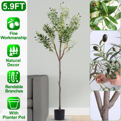 5.9FT Artificial Olive Tree Tall Fake Olive Plant Faux Potted Olive Tree with Lush Olive Branches and Fruits with Black Planter Pot for Modern Home Of