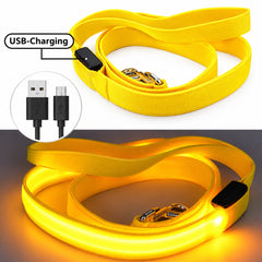LED Dog Leash - Rechargeable Light-Up Pet Leash for Night Walks | 7 Glow Colors | USB Charging, Strong Clip & Comfortable Non-Slip Grip