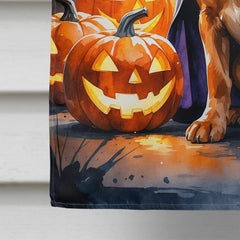 vizsla puppy halloween house flag - product photo 4 of 8