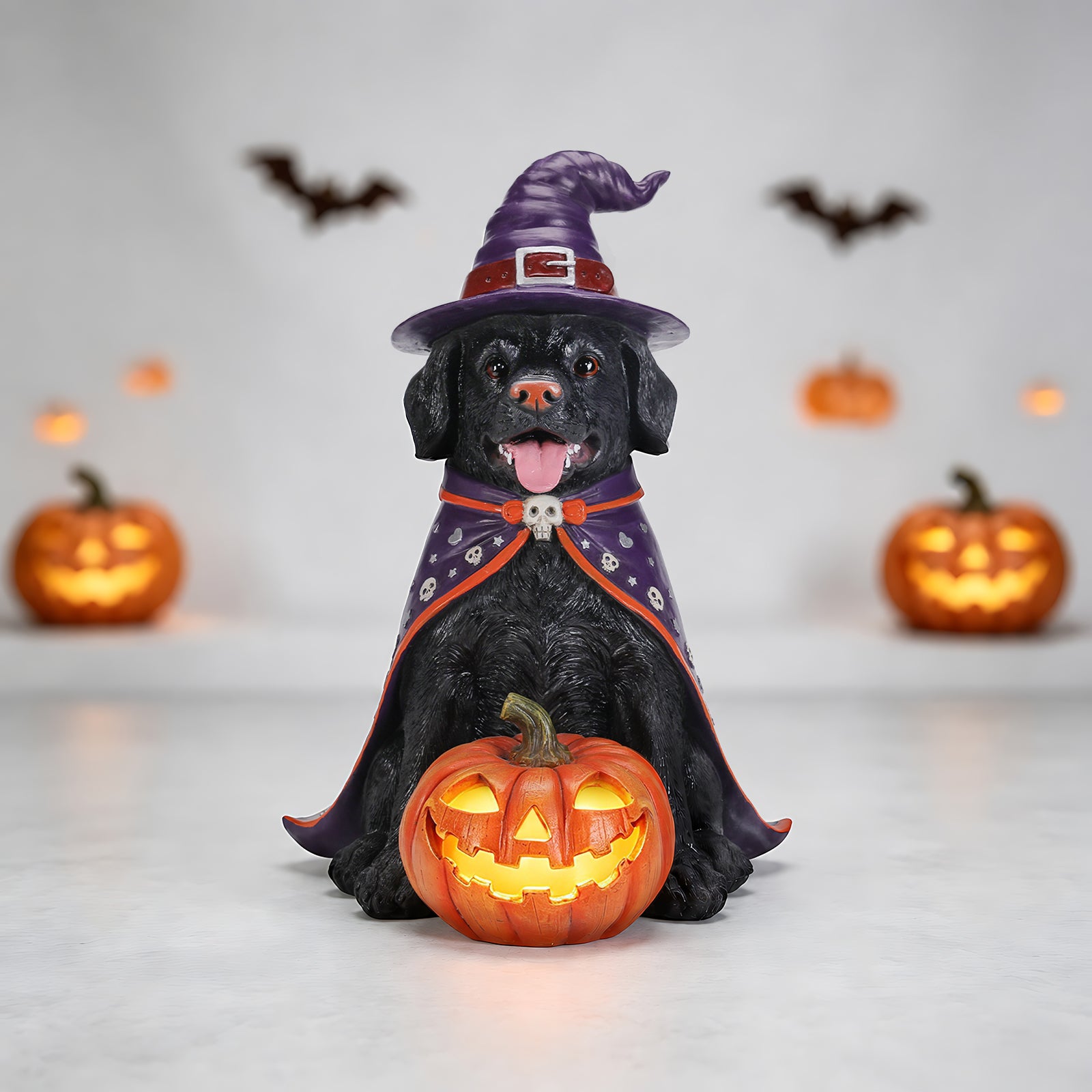 Black labrador in a witch hat and a skull patterned cloak, sitting beside a lit pumpkin with bats on the wall behind