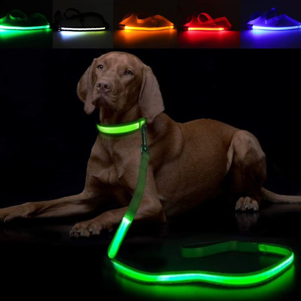 LED Dog Leash - Rechargeable Light-Up Pet Leash for Night Walks | 7 Glow Colors | USB Charging, Strong Clip & Comfortable Non-Slip Grip