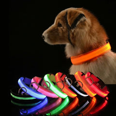 LED Dog Collar - Rechargeable Light-Up Glow Collar for Night Safety | 7 Colors, Sizes S-L | USB Charging, Adjustable & Splash-Resistant