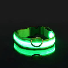 LED Dog Collar - Rechargeable Light-Up Glow Collar for Night Safety | 7 Colors, Sizes S-L | USB Charging, Adjustable & Splash-Resistant