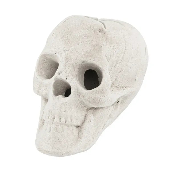 Ceramic fire pit skull - product photo 8 of 12