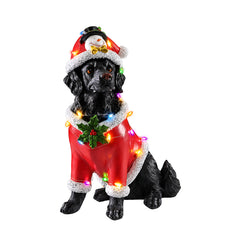 The Black retriever in the red Santa coat on a white background with the bulb string lit up around the body