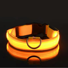 LED Dog Collar - Rechargeable Light-Up Glow Collar for Night Safety | 7 Colors, Sizes S-L | USB Charging, Adjustable & Splash-Resistant