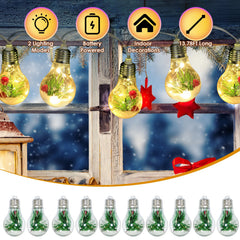 13.78FT Christmas Snow Globe String Light Battery Powered 10 LED Bulbs