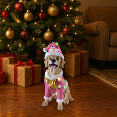 The Labrador retriever in the pink Santa coat set on the floor beside a lit Christmas tree with gifts under it